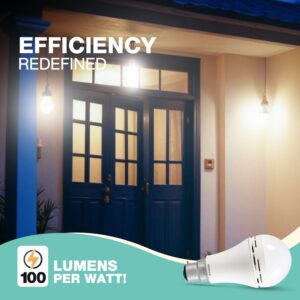 HAVELLS 12W LED Emergency Bulb