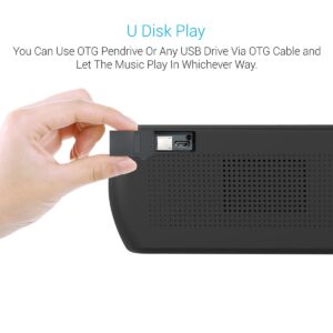 Portronics PureSound Plus Portable Bluetooth 2.1 Wireless Stereo Speaker (Black)