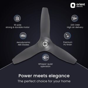 Orient Electric Aeroquiet 1200 mm Noiseless Premium Ceiling Fan for Home | 18-pole strong motor |2 Years Warranty by Orient |Daytone Grey, Pack of 1