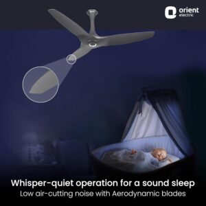 Orient Electric Aeroquiet 1200 mm Noiseless Premium Ceiling Fan for Home | 18-pole strong motor |2 Years Warranty by Orient |Daytone Grey, Pack of 1