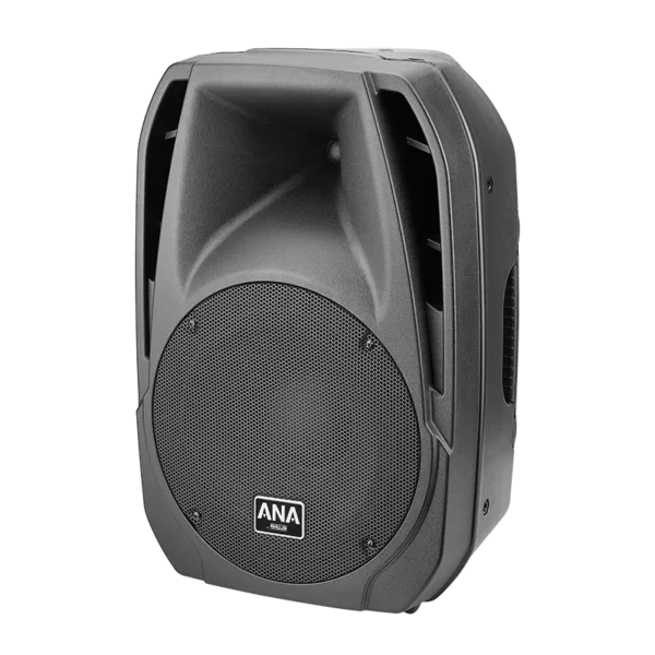 Ahuja XPA 3010DP Active portable Speaker