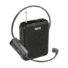 Ahuja NBA 30WL with Bluetooth, FM, Recording and SD card option Wireless speaker. Best for Teachers, Doctors & Public address of a small gathering
