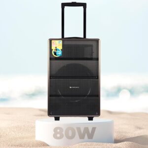 ZEBRONICS Banjo, 80 Watts RMS, Trolley Speaker with Bluetooth 4.2, LED Display & Wireless 2 Mics, USB, mSD, AUX Input, Mic in, FM Radio and Stylish Design
